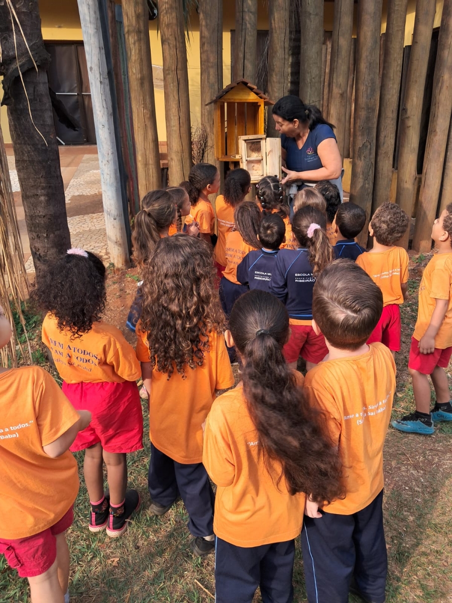 Floresta educadora Floresta educadora